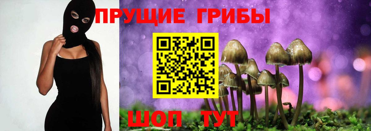 что такое   Вход с VPN  Великие Луки  Галлюциногенные грибы Cubensis 